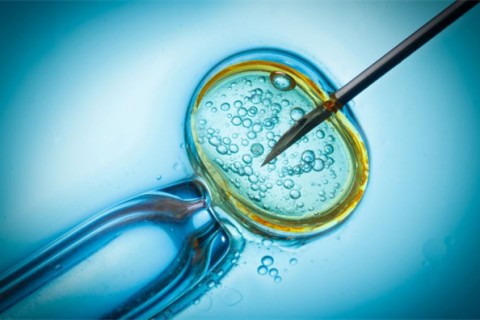 http://jiaxing.qqkaixin.com/post/199.html|嘉兴供卵助孕